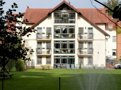 照片: Am Alten Rhin